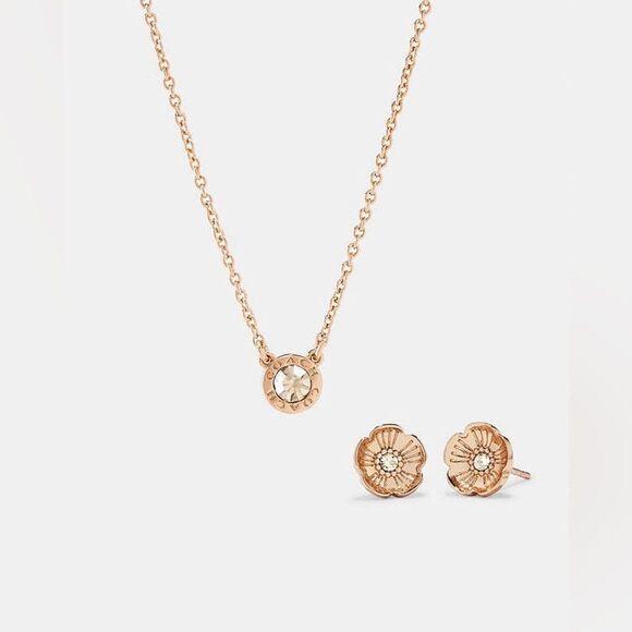 NWT Coach Open Circle Necklace And Tea Rose Stud Earrings Set - Picture 1 of 8